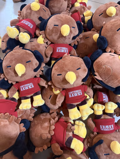 Anime Convention Exclusive Plush 4500 Units